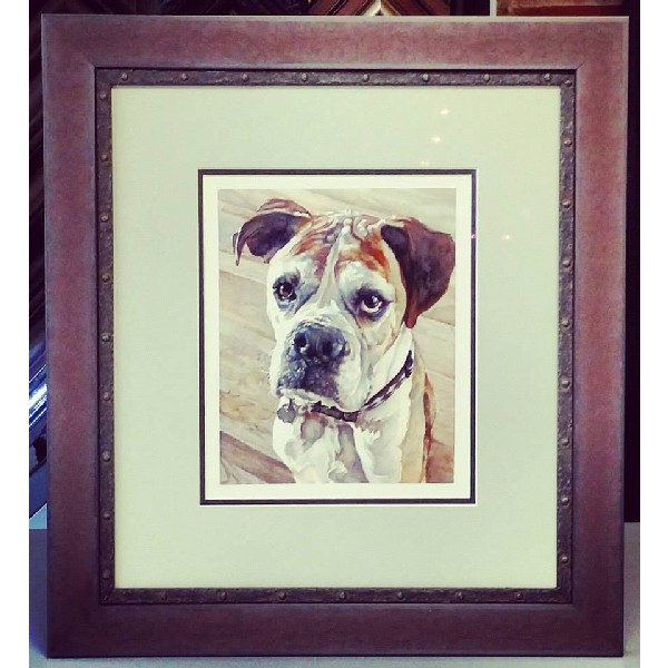 Dog