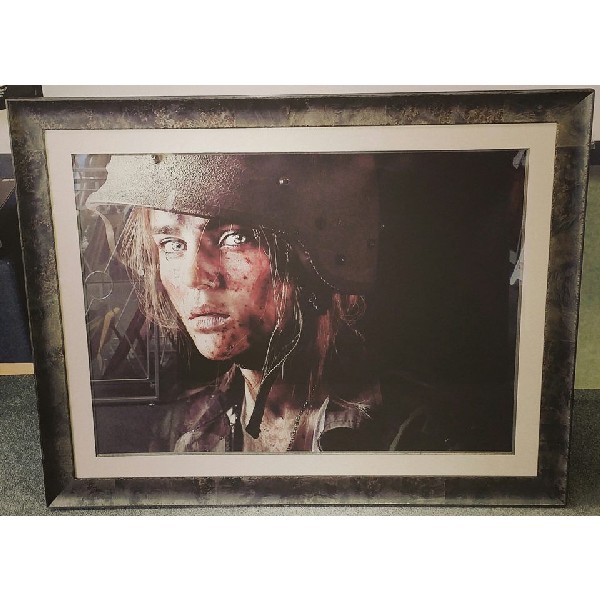 Custom Picture Framing 14
